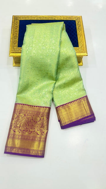 Pastel green with Purple Border Pure Kanchipuram silk saree