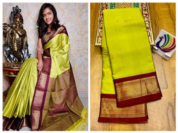 Green with Brown border saree