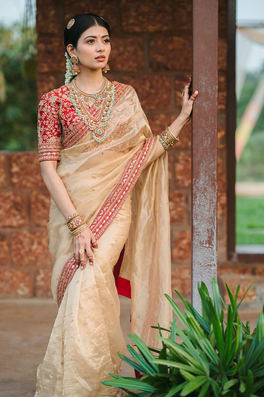 Premium Jimmy Choo Embroidered Saree with Sequin